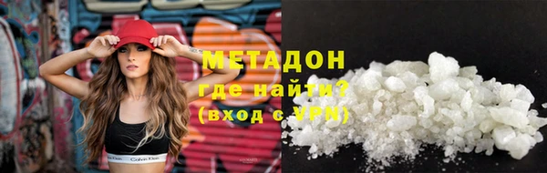 прущие грибы Вяземский