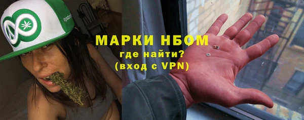 прущие грибы Вяземский