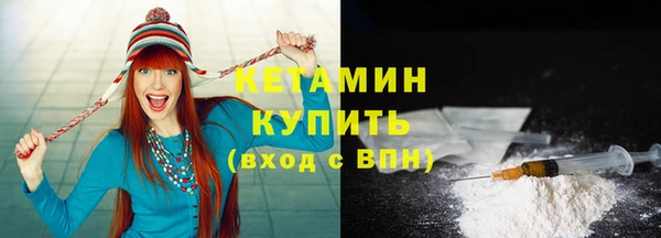 прущие грибы Вяземский