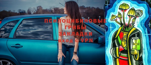 прущие грибы Вяземский