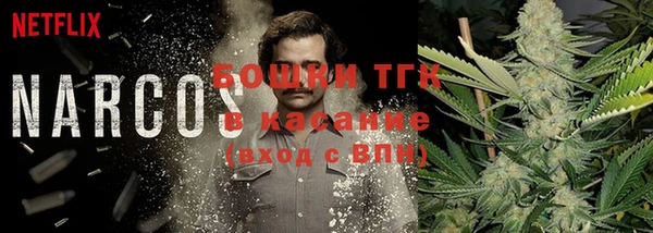 прущие грибы Вяземский