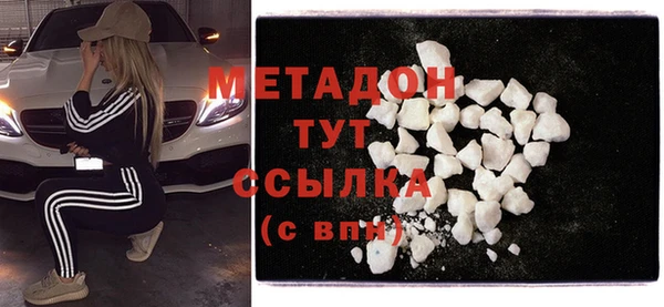 прущие грибы Вяземский