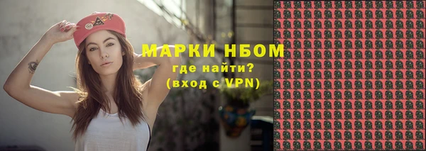 прущие грибы Вяземский