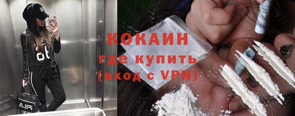 прущие грибы Вяземский